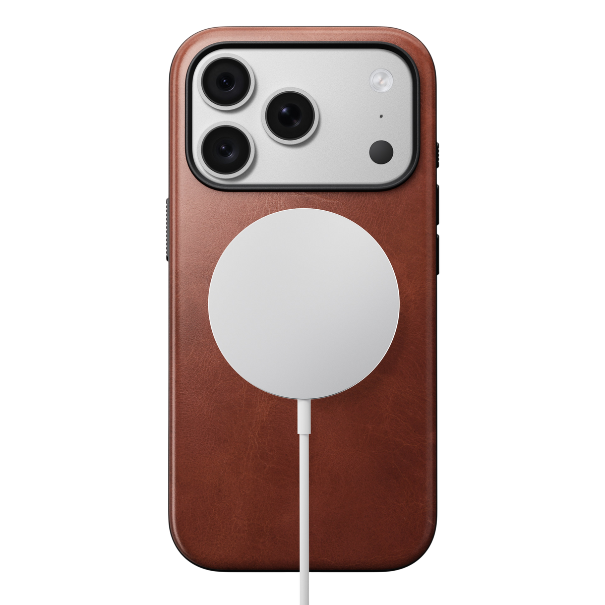 #color_olde-dublin-horween