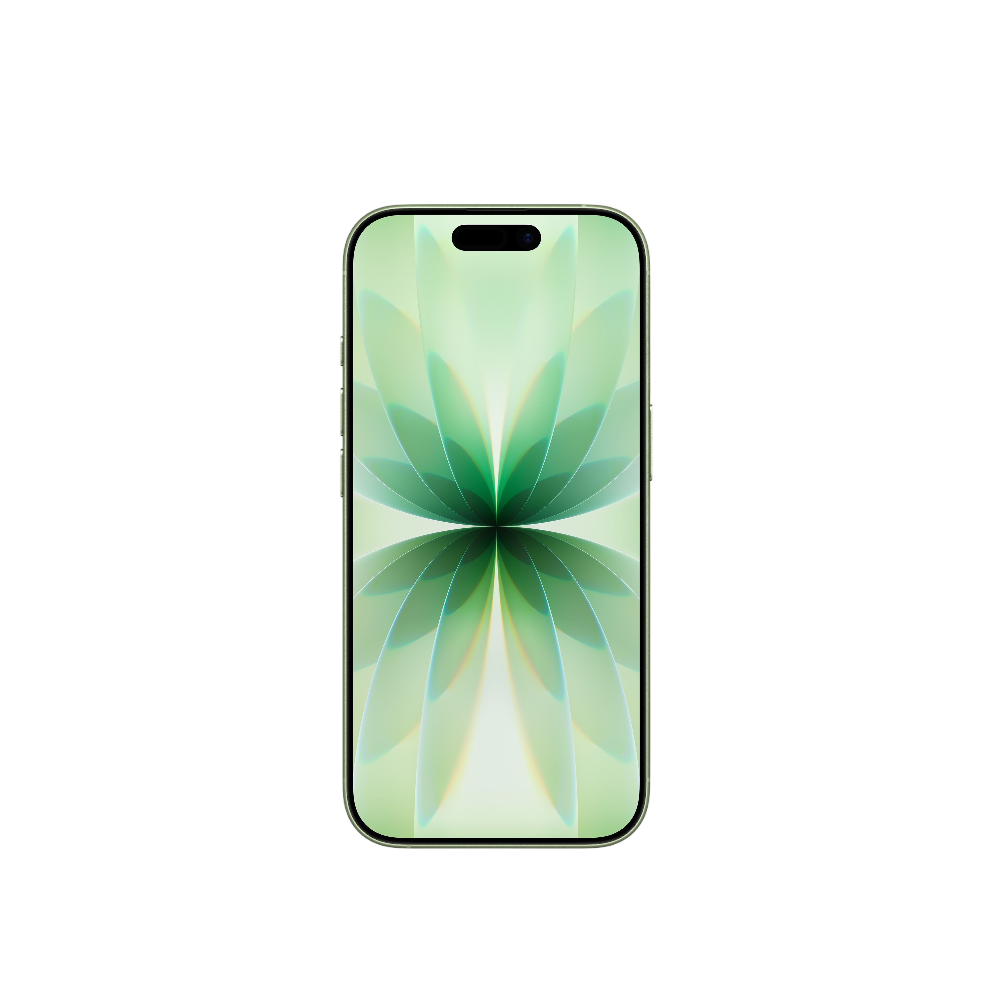 iPhone 17 (One year local warranty + VAT Registered)