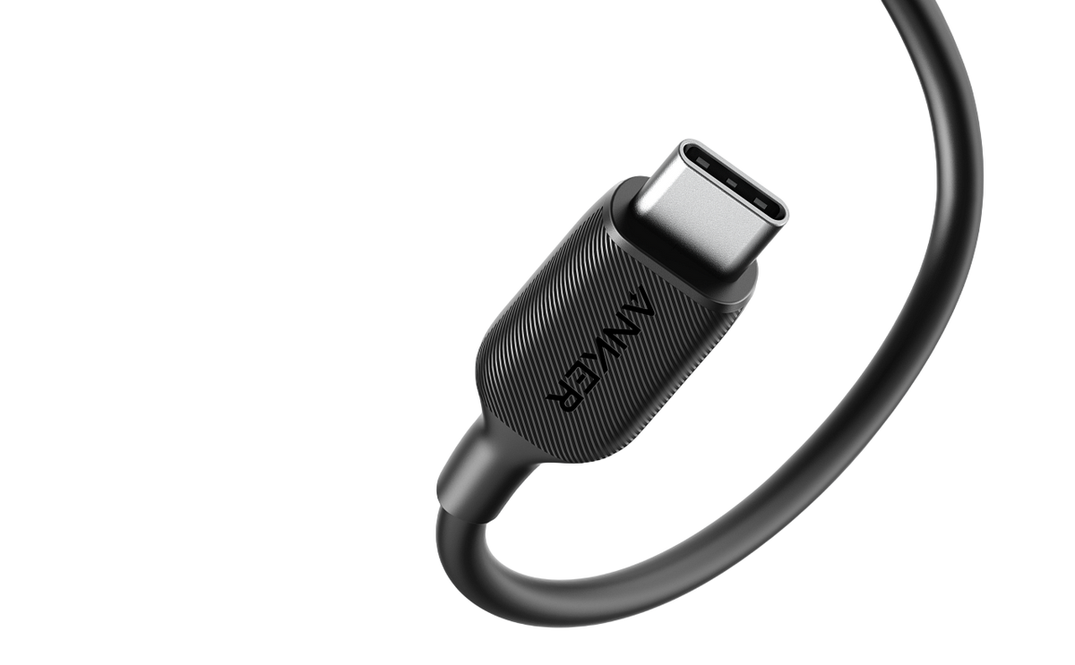 Anker PowerLineIII USB-C to USB-C 100W Cable 1.8m - Black with 18 months official warranty