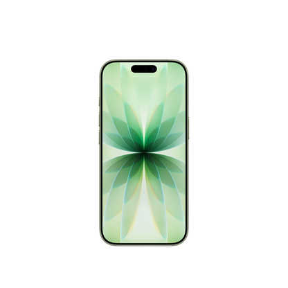 iPhone 17 (One year local warranty + VAT Registered)